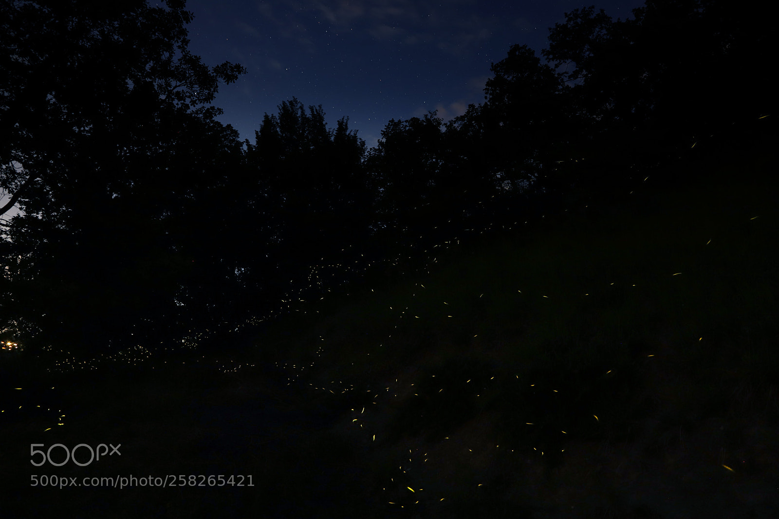 Canon EOS 6D Mark II sample photo. Fireflies and north sky photography