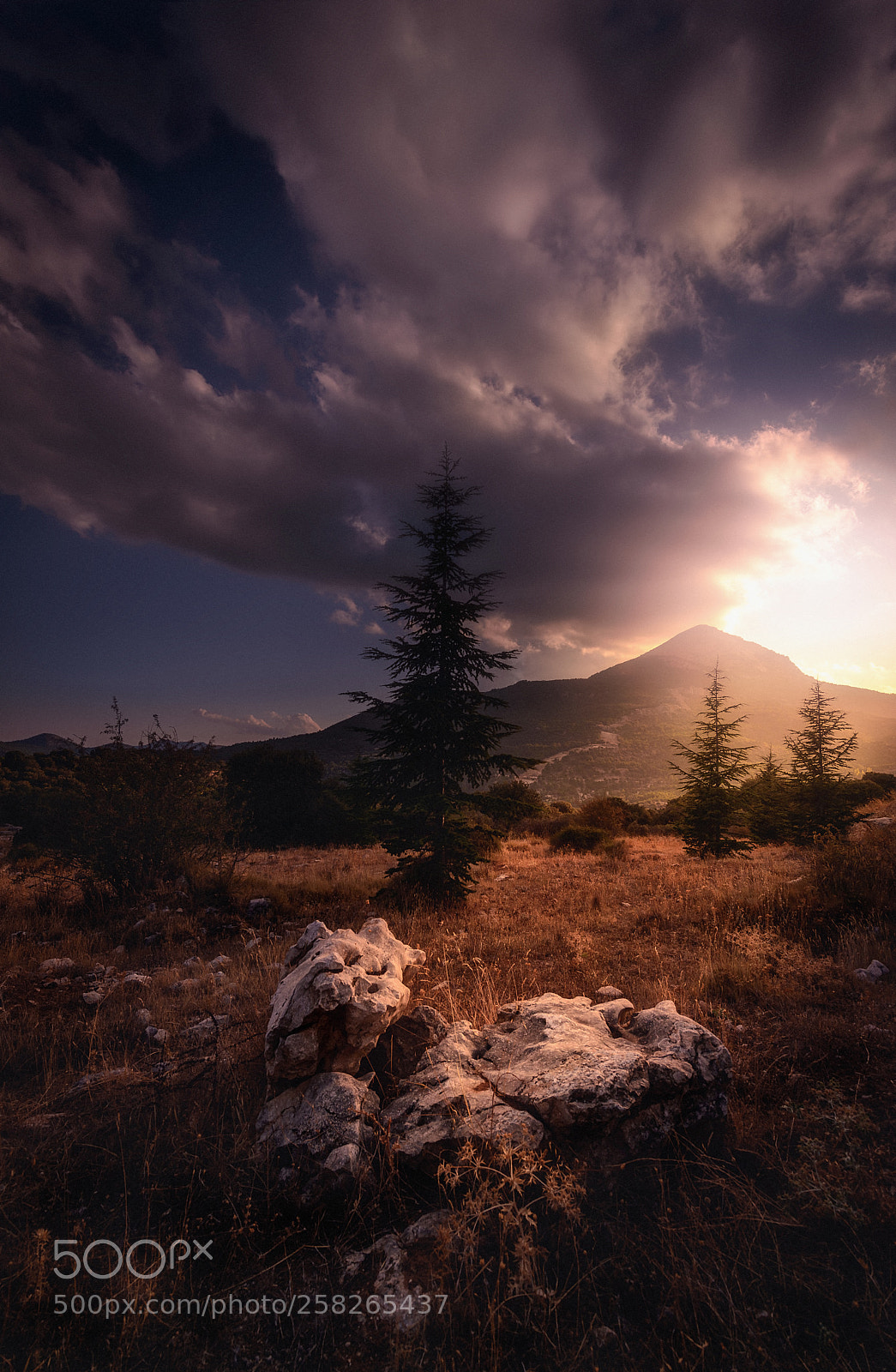 Nikon D800 sample photo. Sunset after the mountain photography