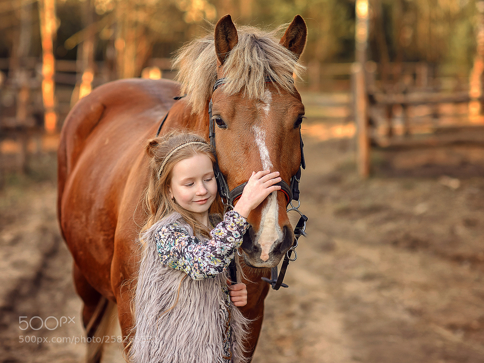 Nikon D610 sample photo. Девочка с Лошадкой photography