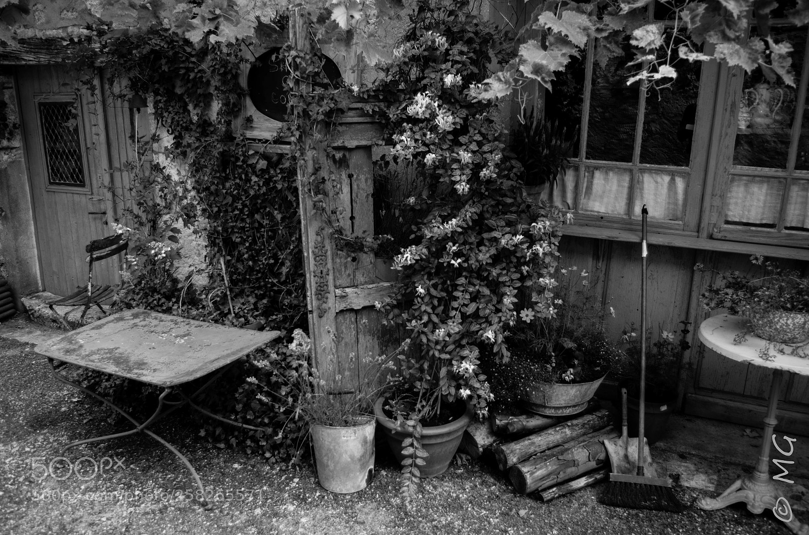 Pentax K-30 sample photo. Simply photography