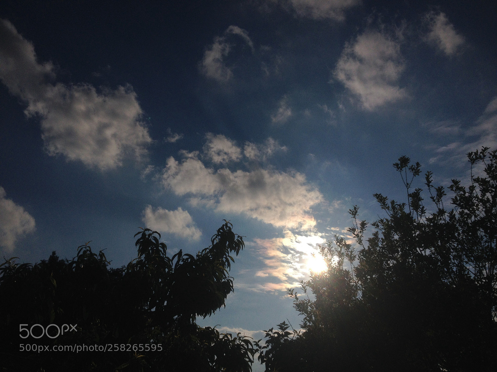 Apple iPhone 4S sample photo. Untitled photography