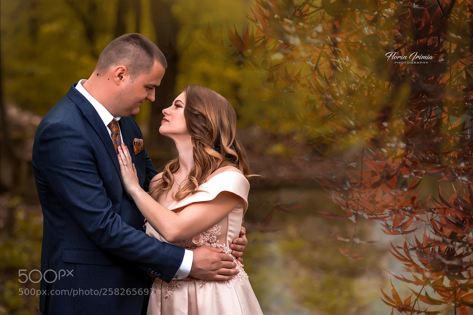 Nikon D750 sample photo. They photography