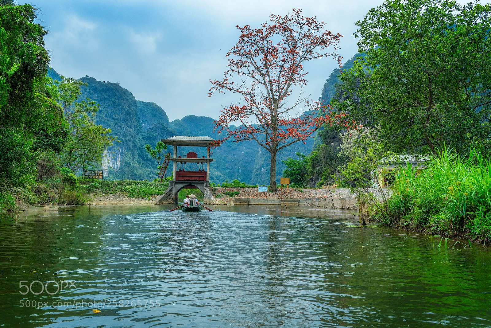 Nikon D750 sample photo. Boat tour ninh binh photography