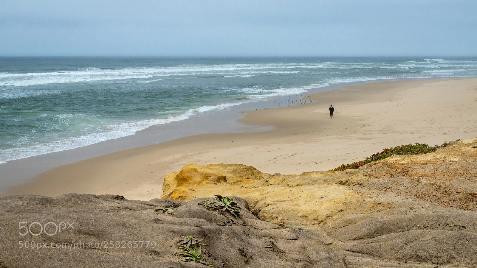 Nikon D610 sample photo. Pescadero state beach, pacific photography