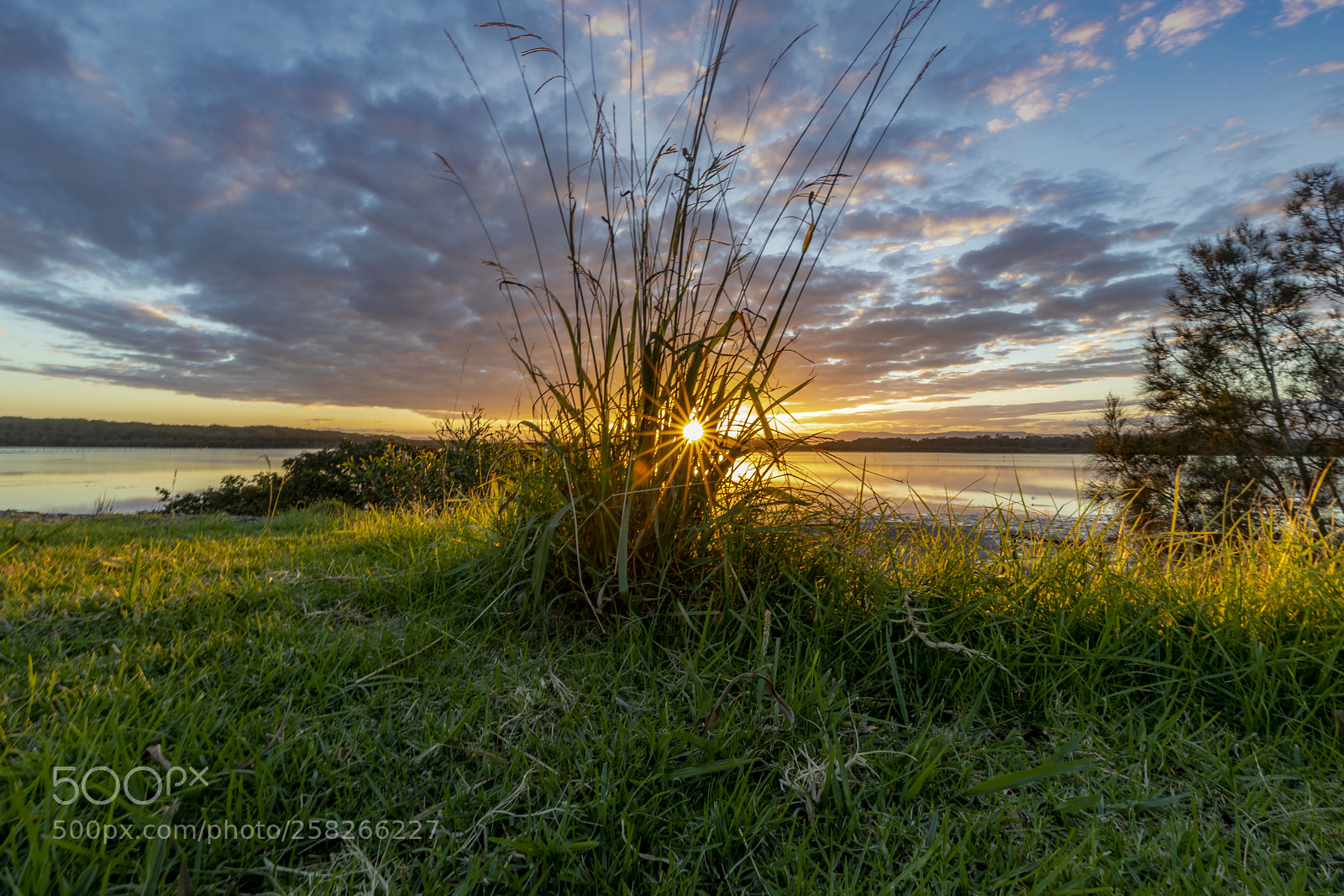 Canon EOS 5D Mark IV sample photo. Lake wollumboola starburst photography