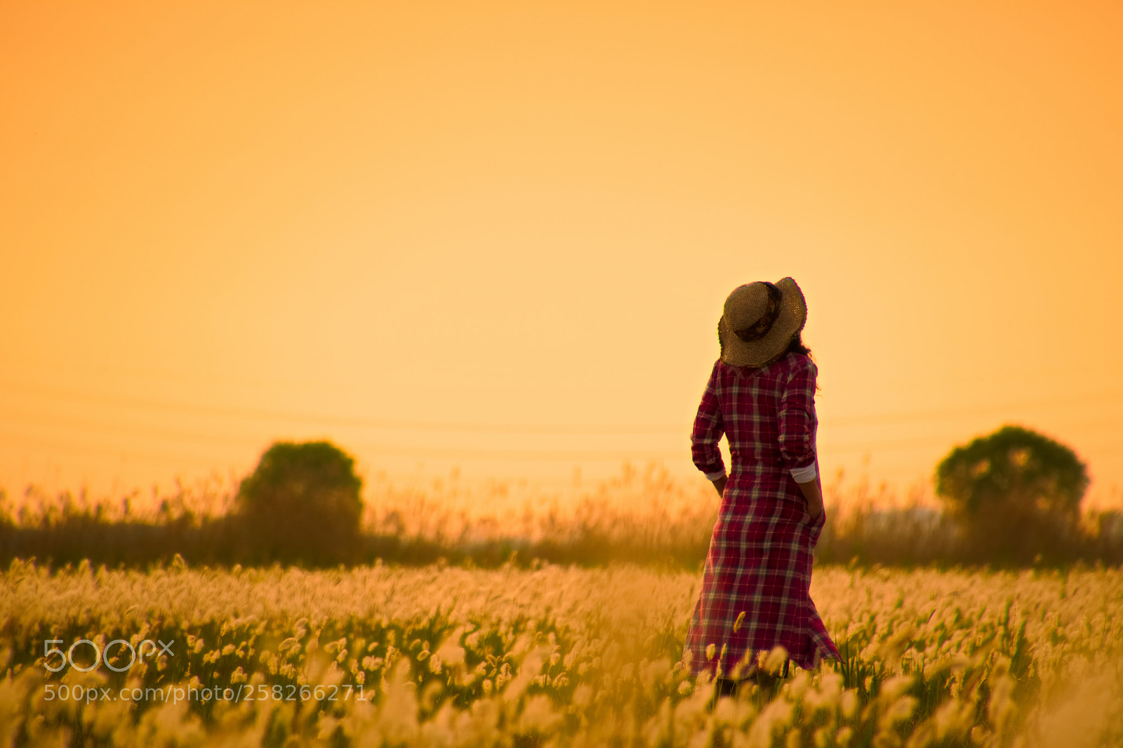 Nikon D5500 sample photo. Woman photography