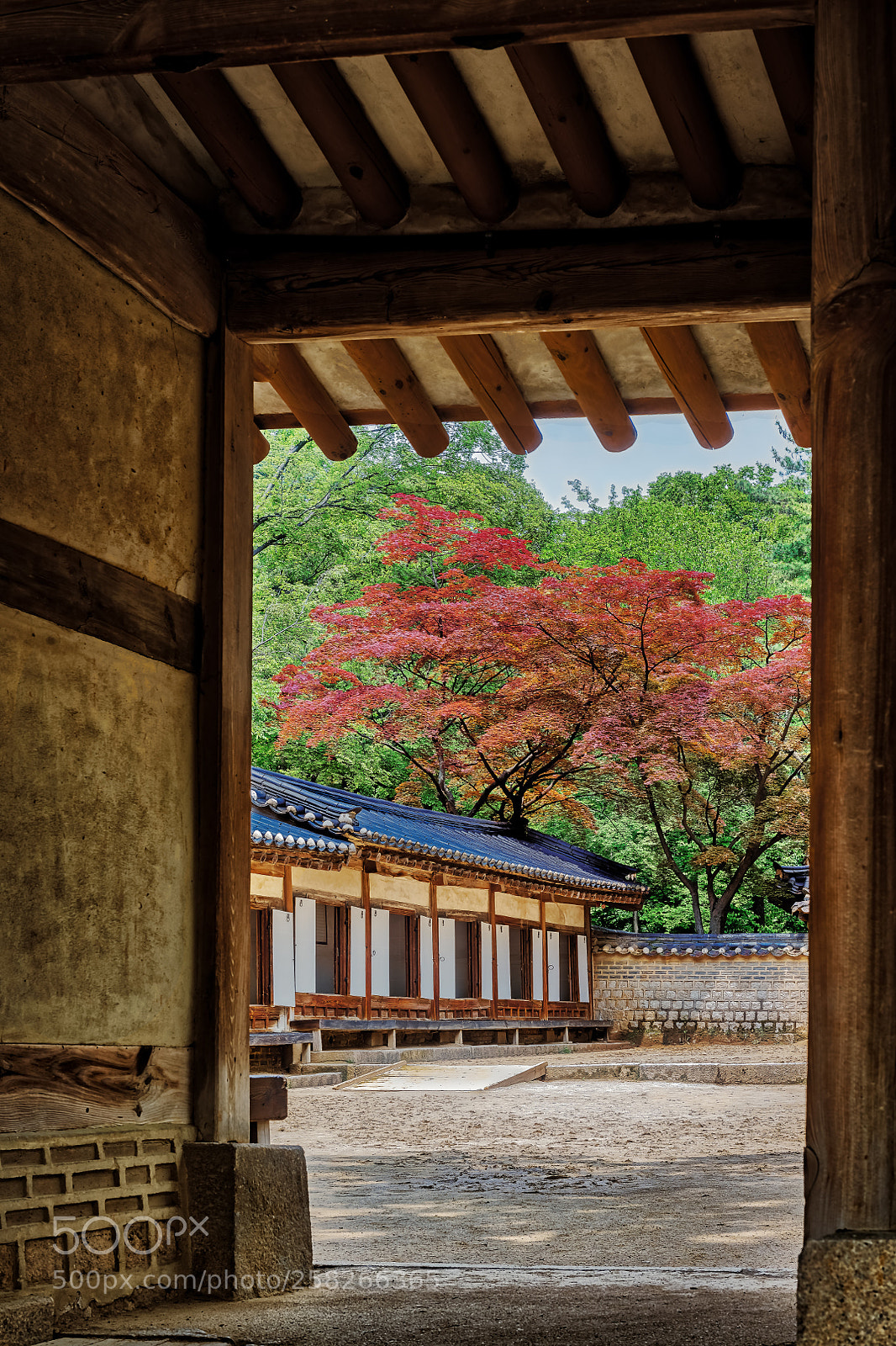 Nikon D850 sample photo. Entering a royal korean photography