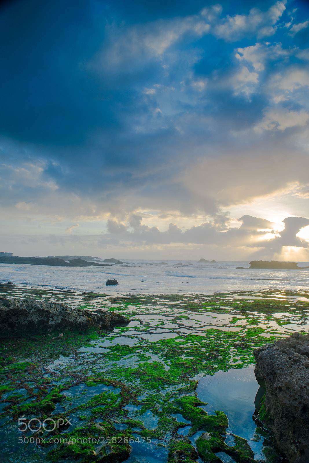 Nikon D800 sample photo. Coast at essaouira morocco photography