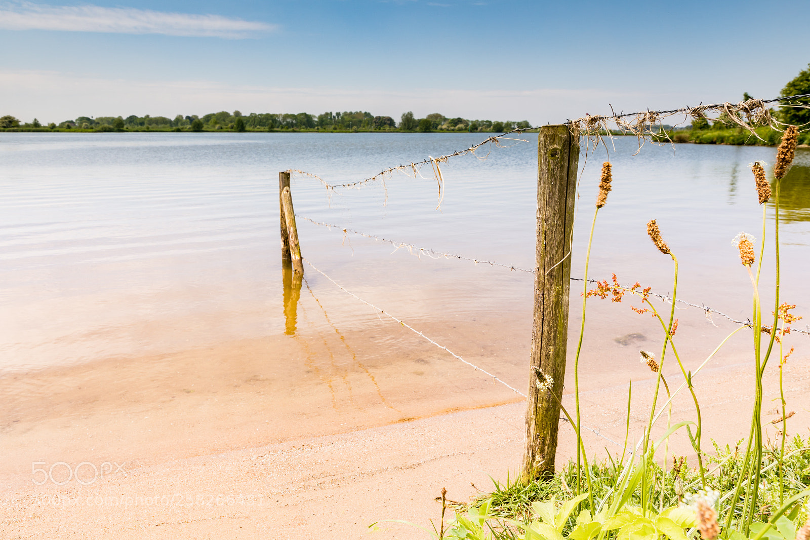 Canon EOS 5D Mark IV sample photo. Along the lek! photography