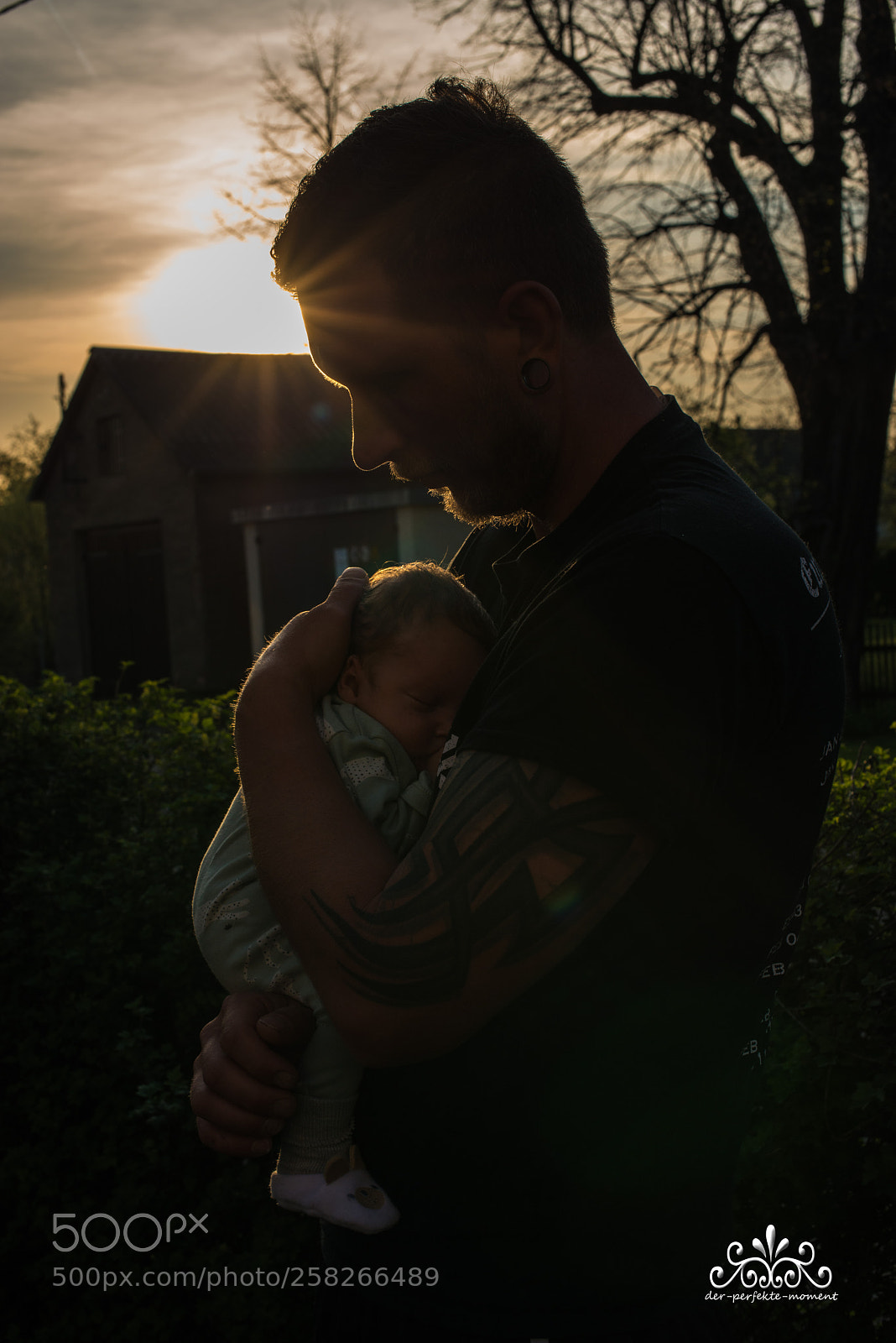 Nikon D800E sample photo. Lucky daddy in sunset photography