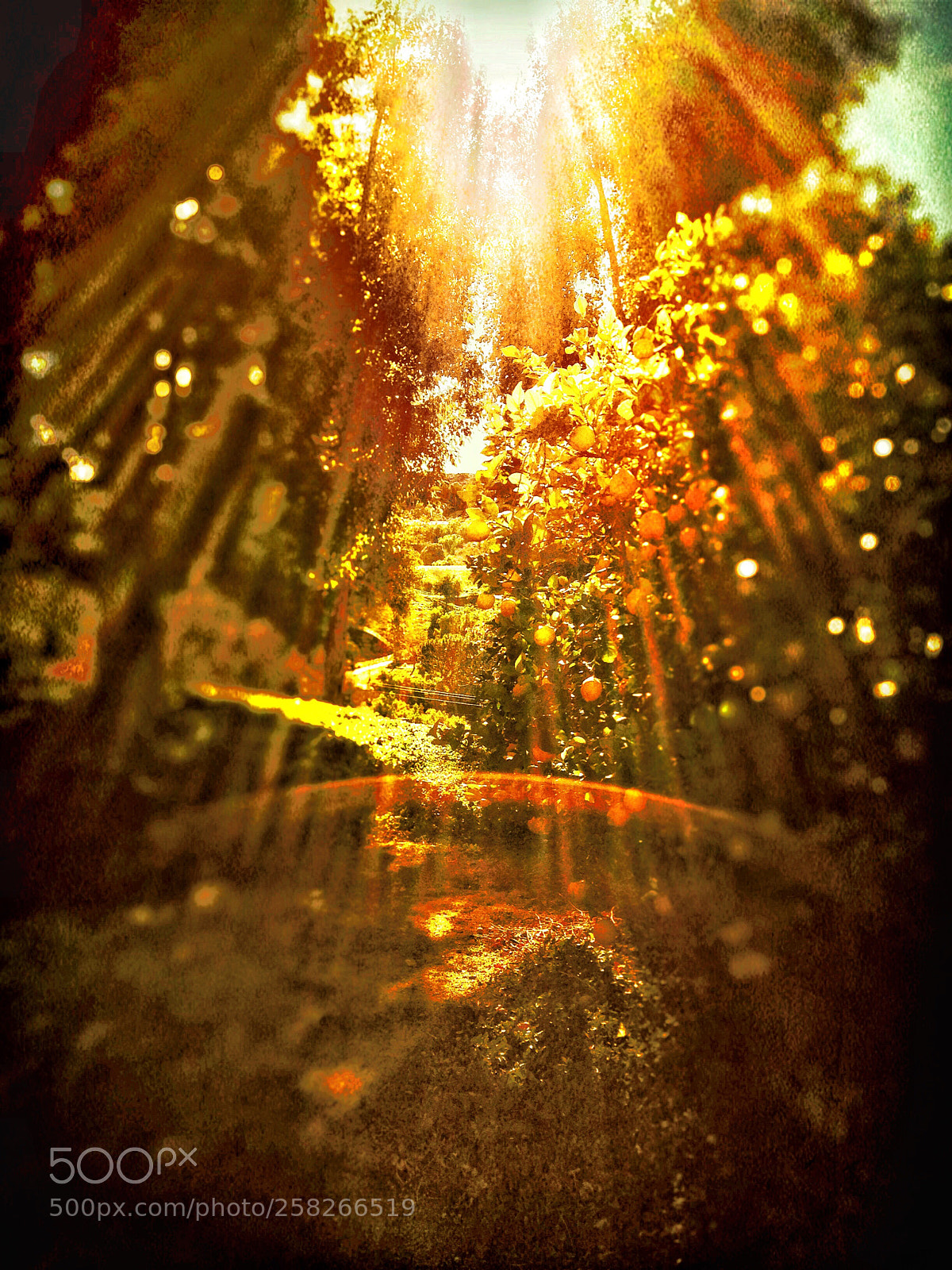 Apple iPhone 5 sample photo. Heavenly photography