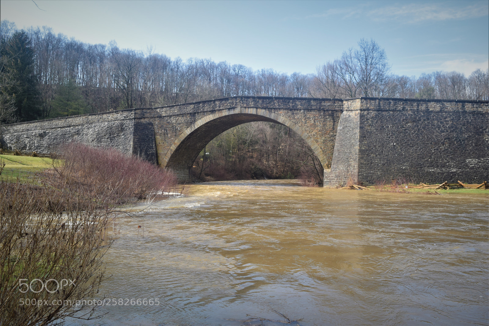 Nikon D3300 sample photo. High water photography
