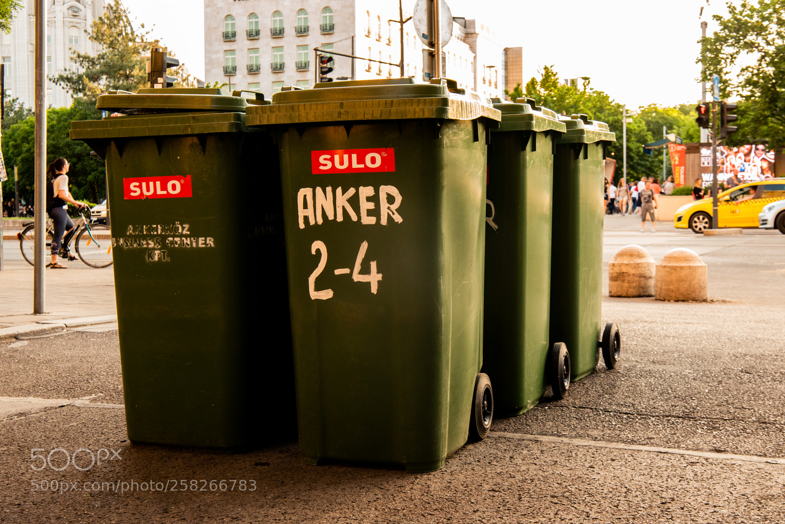 Nikon D750 sample photo. Binned photography