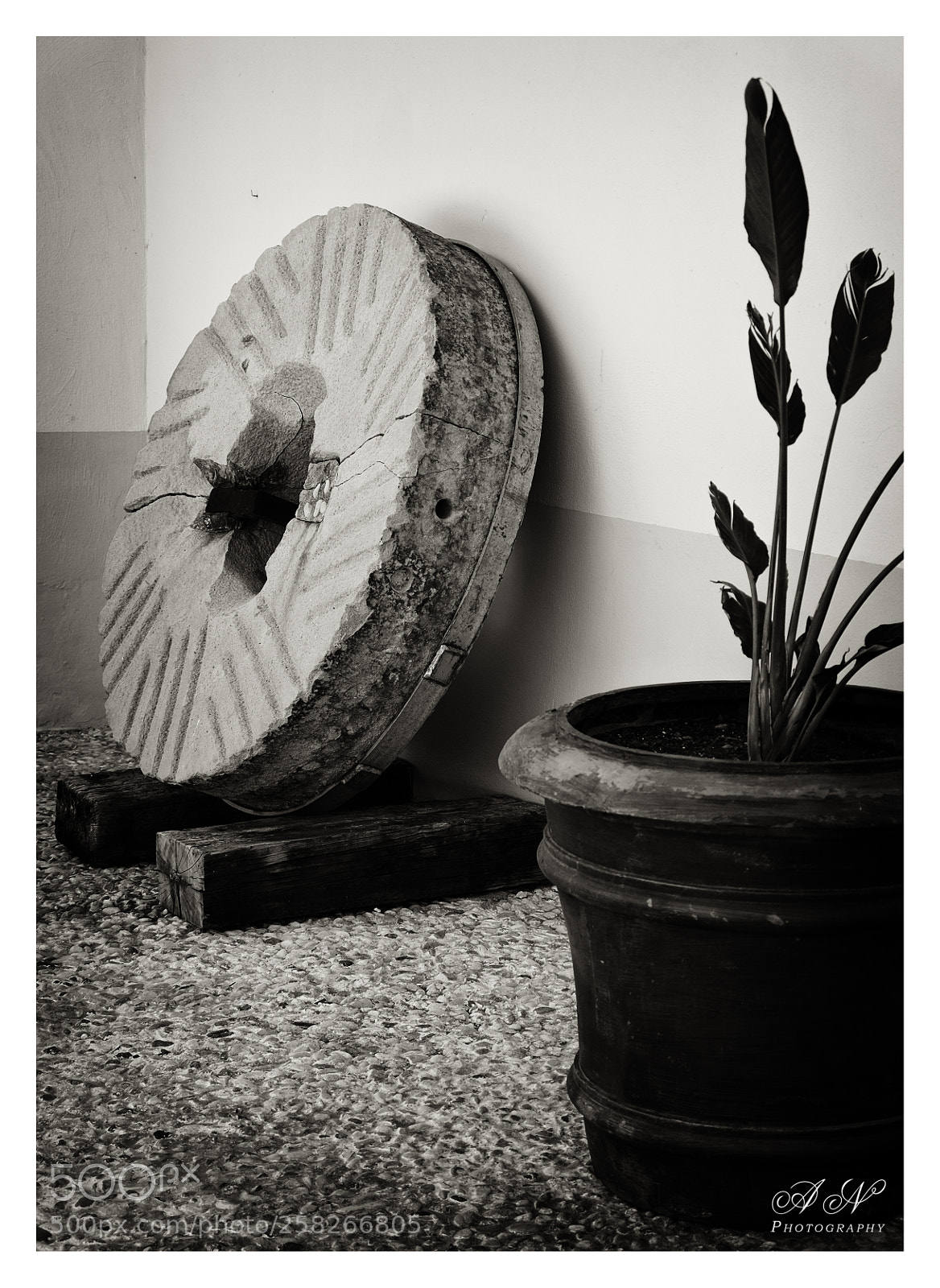 Fujifilm X-T10 sample photo. Rueda de molino photography