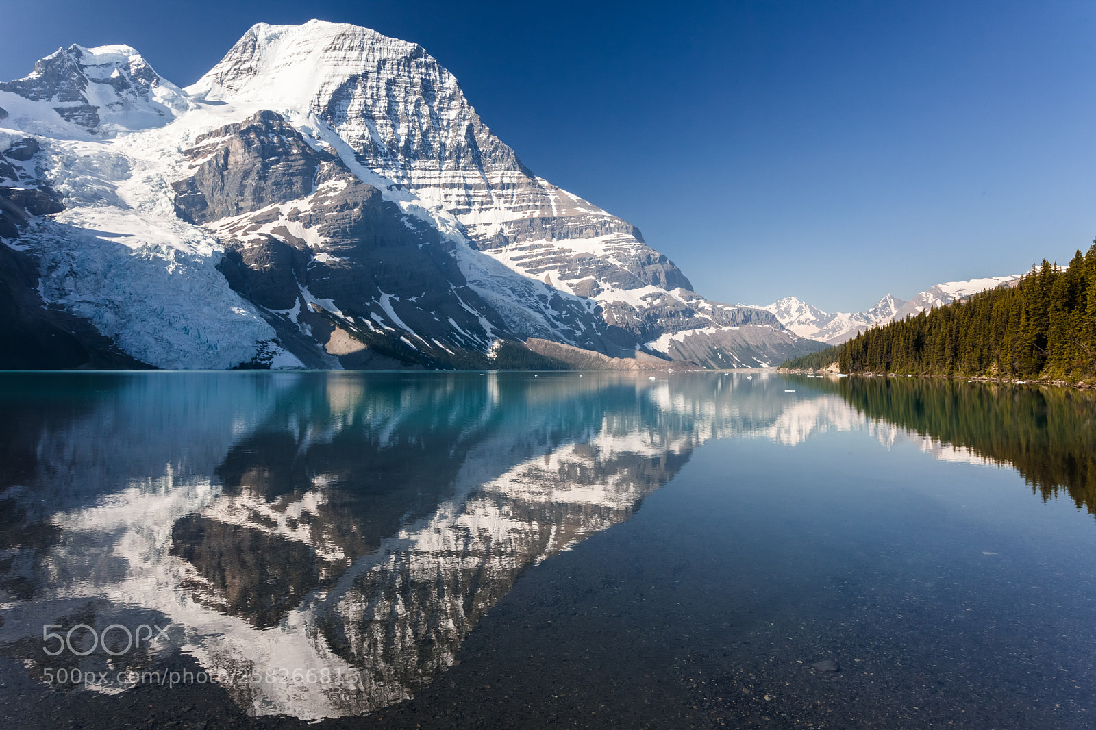 Canon EOS 5D Mark II sample photo. Mount robson in canadian photography