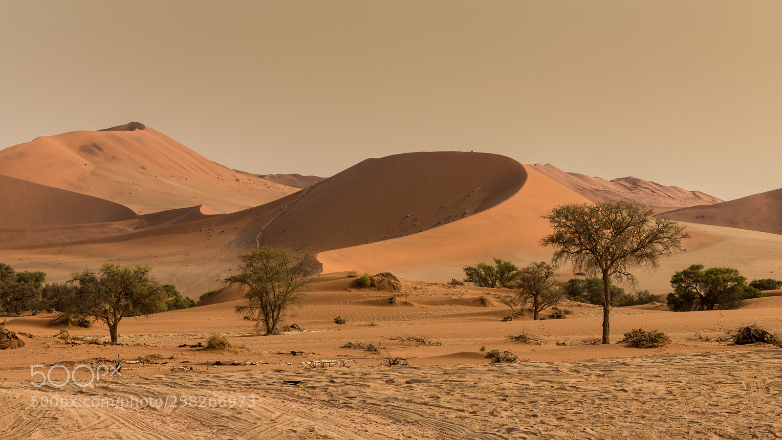 Canon EOS 6D Mark II sample photo. Unreal light in namibia photography