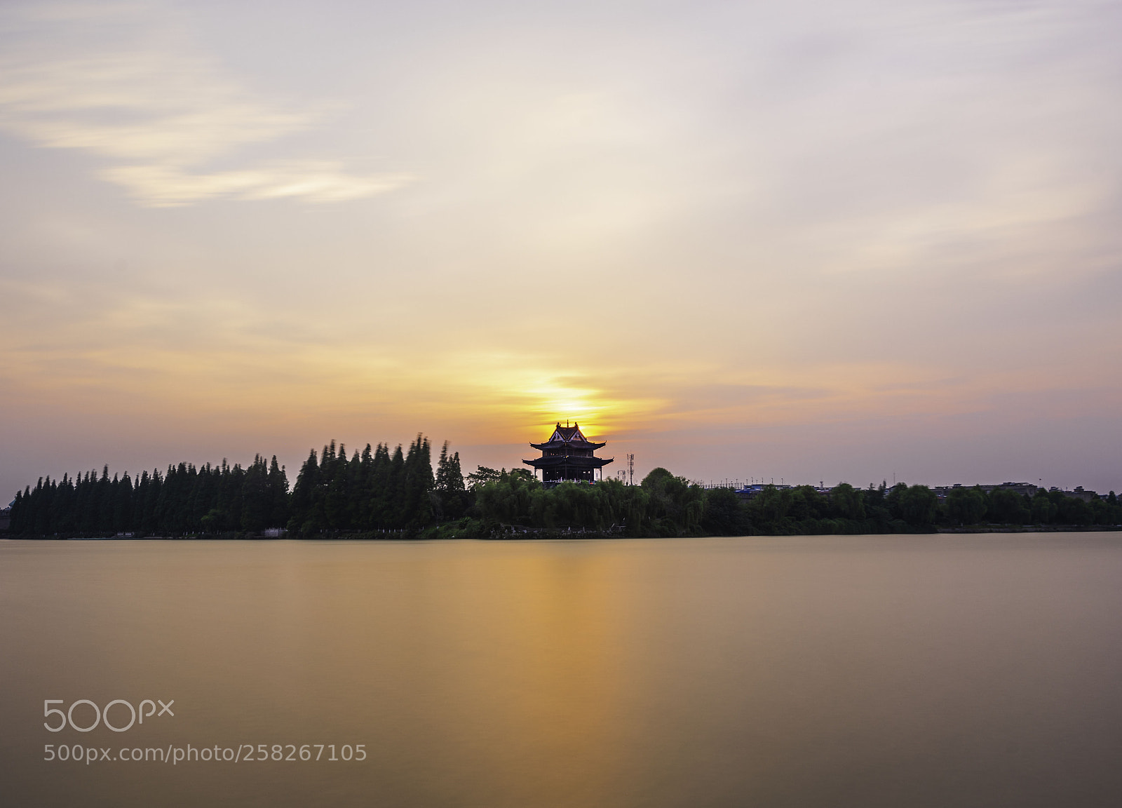 Nikon D850 sample photo. _8502855.jpg photography