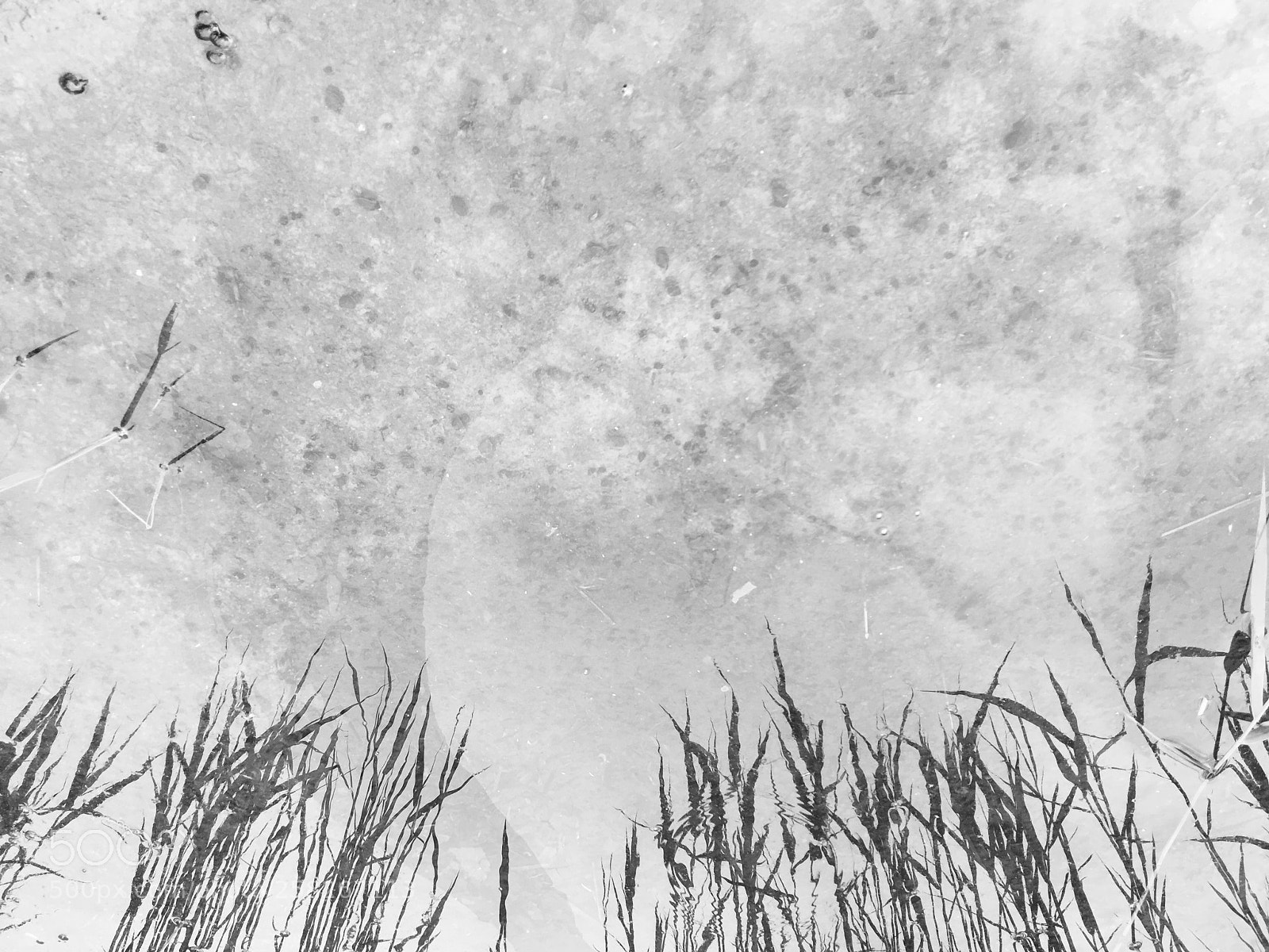 Apple iPhone 6s sample photo. See-through mysteries photography