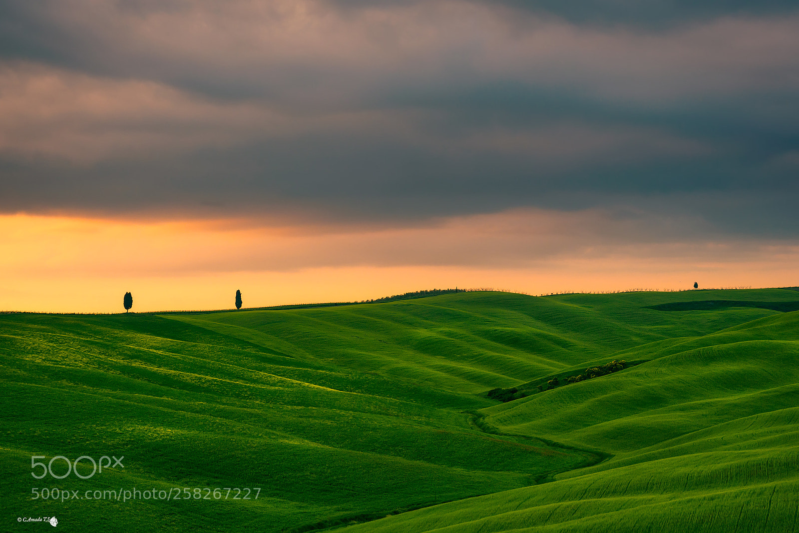 Olympus OM-D E-M1 Mark II sample photo. Campos de la toscana photography