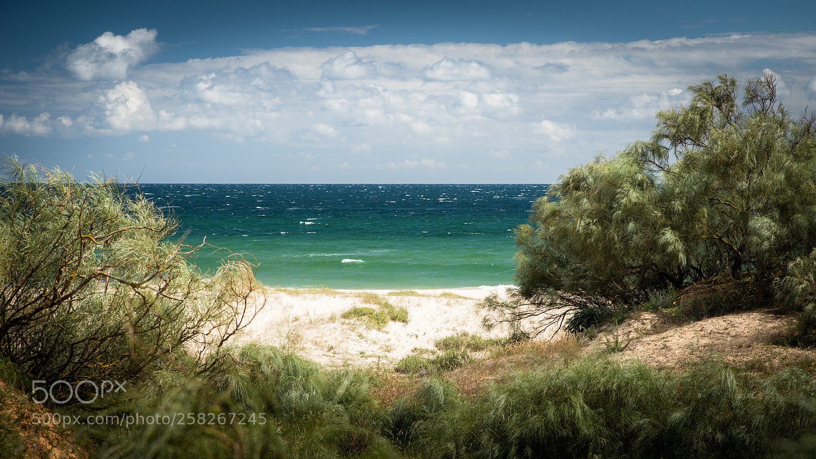 Nikon D750 sample photo. Praia verde photography