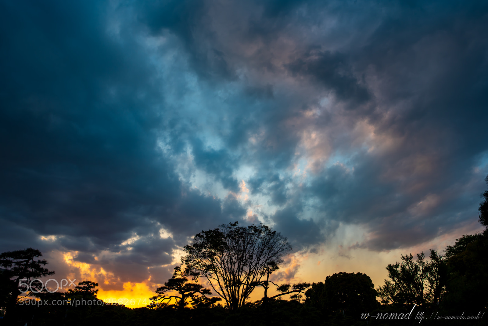 Nikon D750 sample photo. End of the day photography