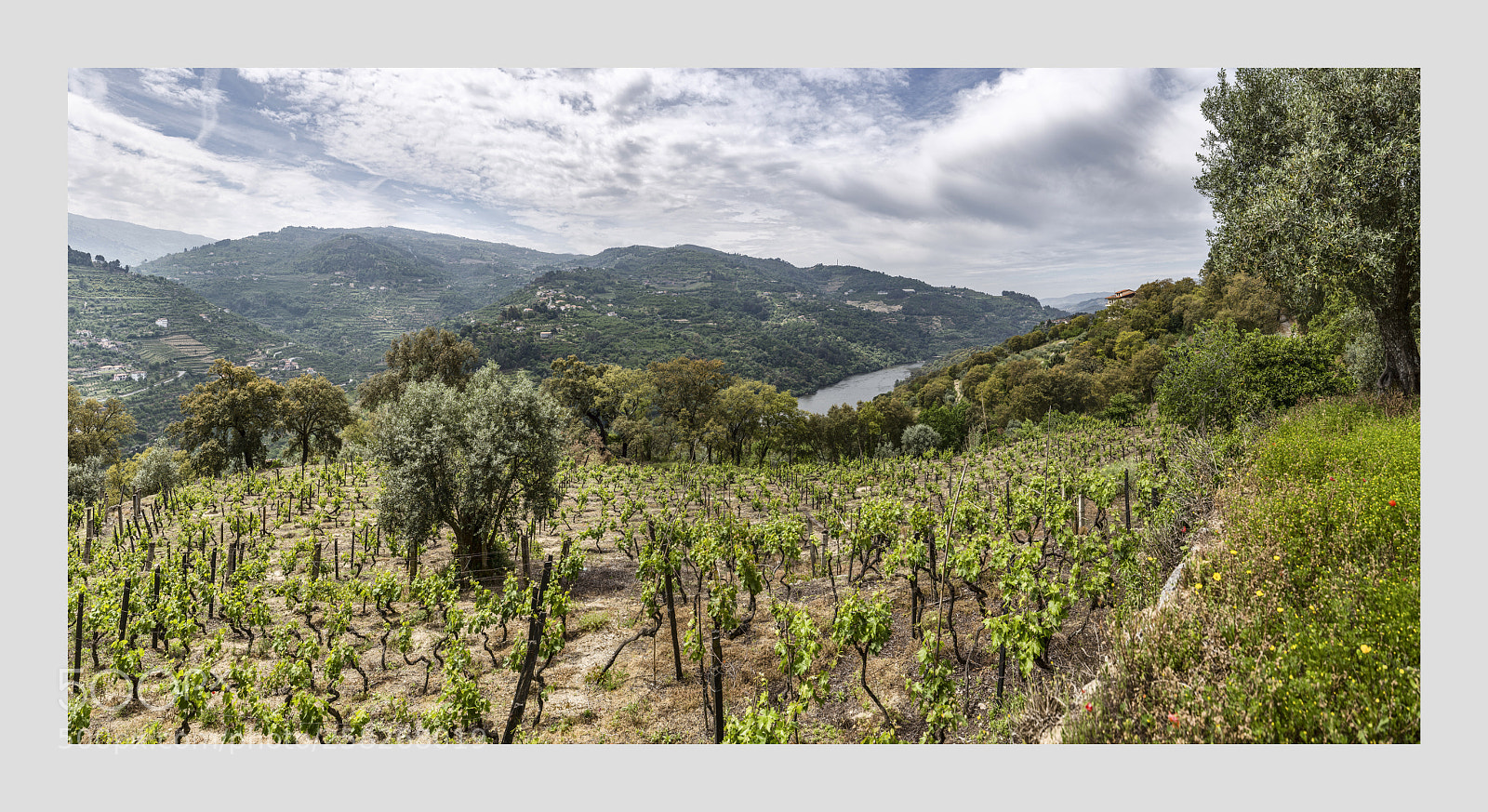 Canon EOS 6D sample photo. Souvenir de vacances au photography