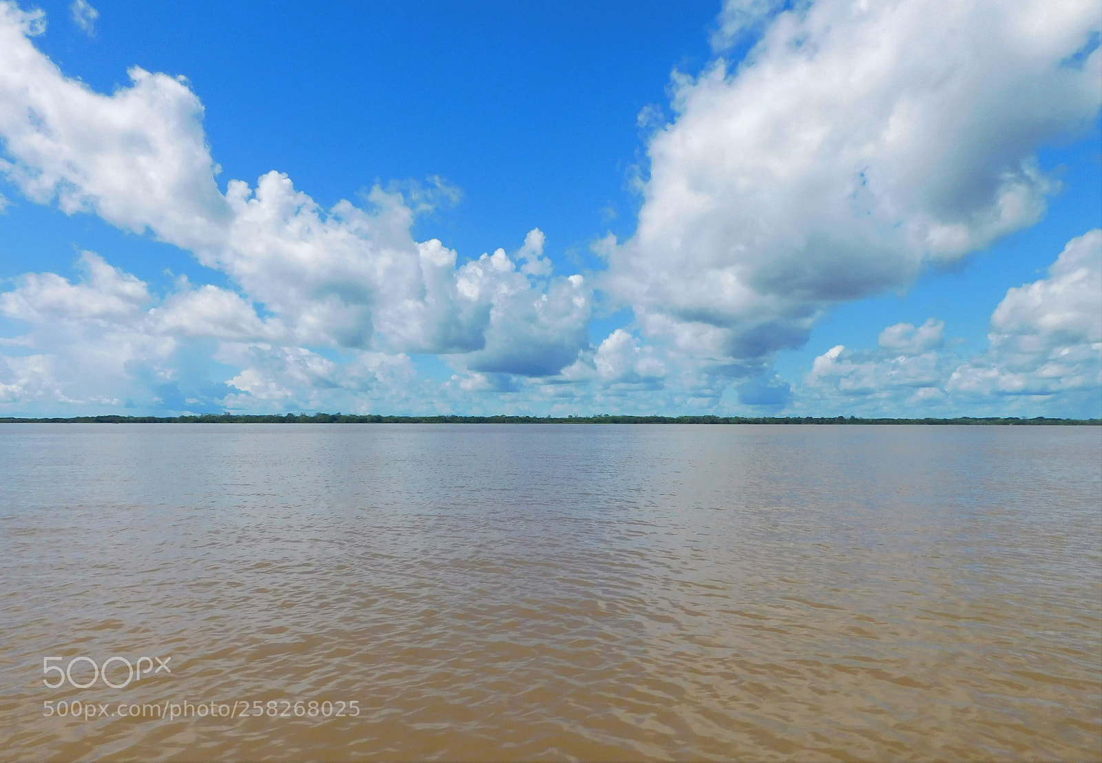 Nikon Coolpix L840 sample photo. Amazon river photography