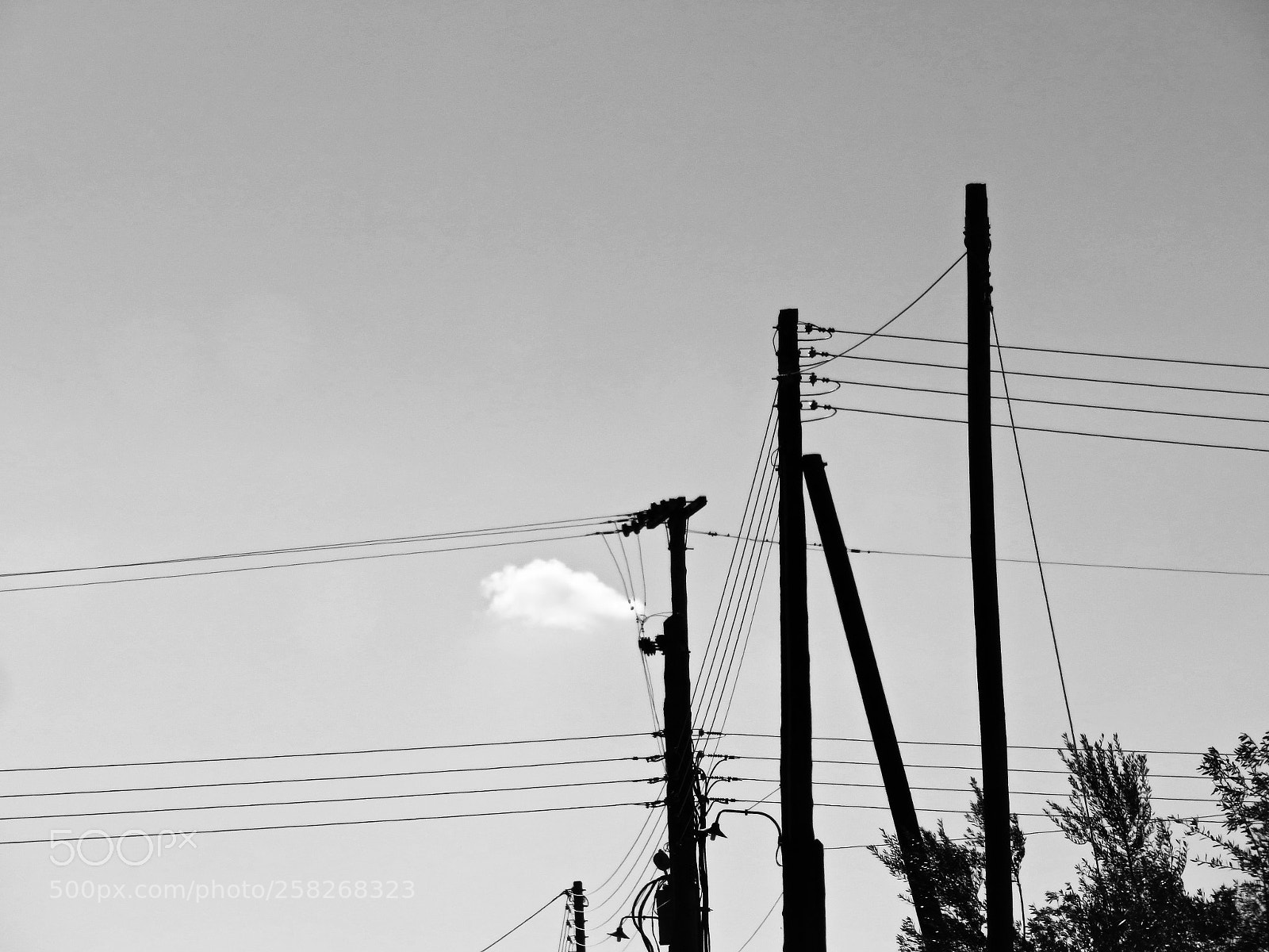 Canon PowerShot SX710 HS sample photo. Linear photography