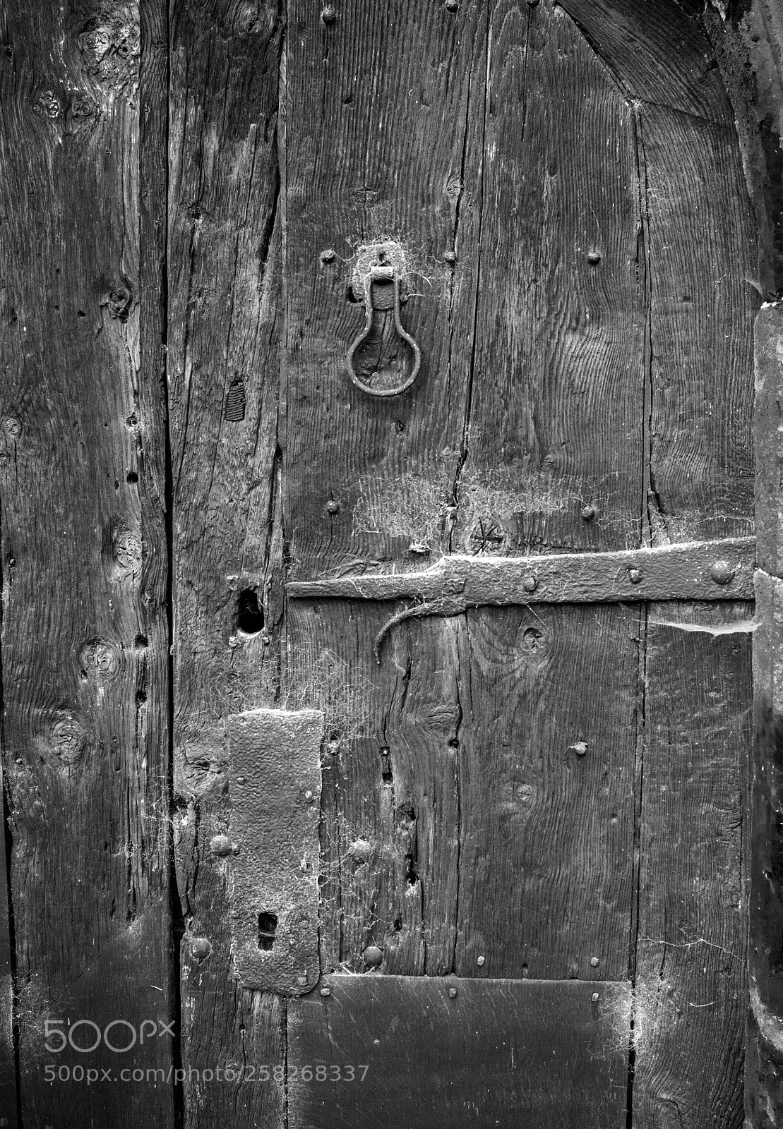 Nikon D7200 sample photo. The old door photography