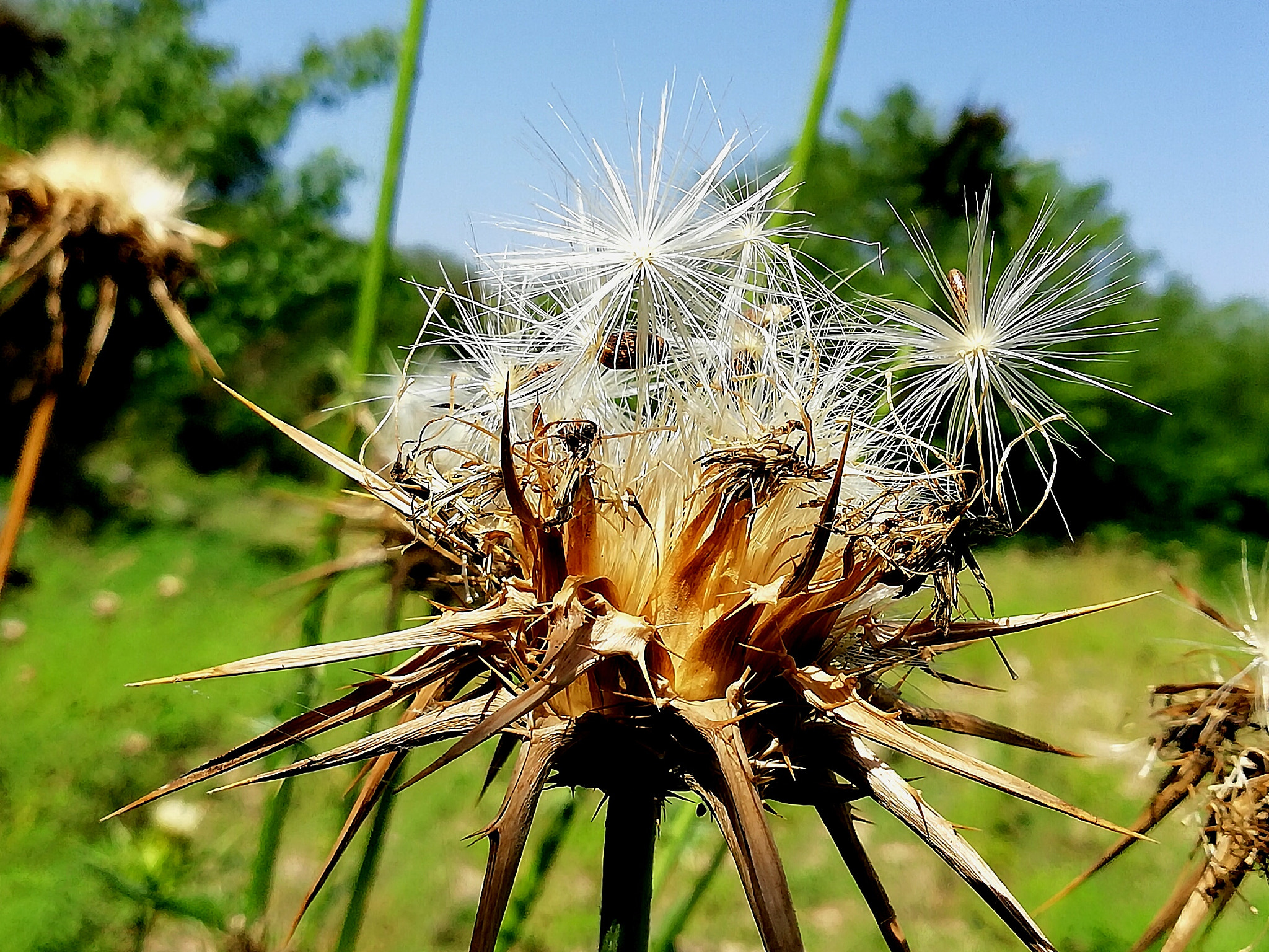 HUAWEI Mate 10 Lite sample photo