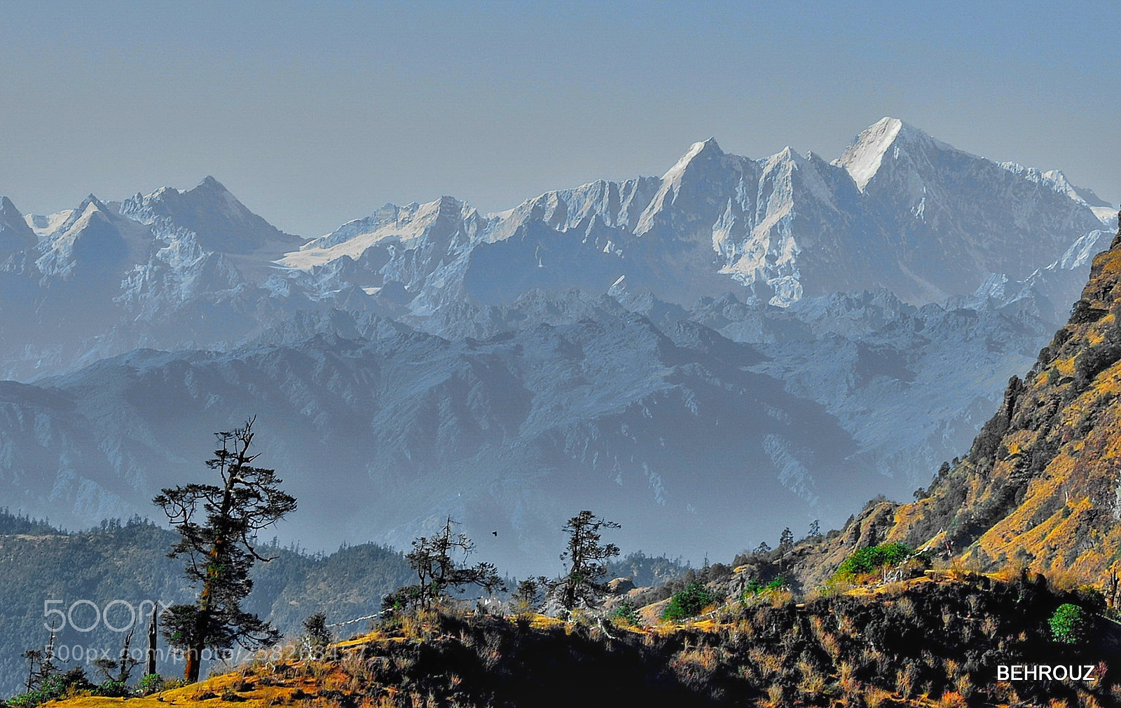 Nikon D610 sample photo. Dream! photography