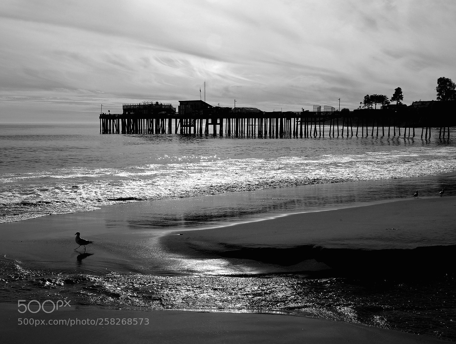 Olympus PEN-F sample photo. Beach at capitola photography