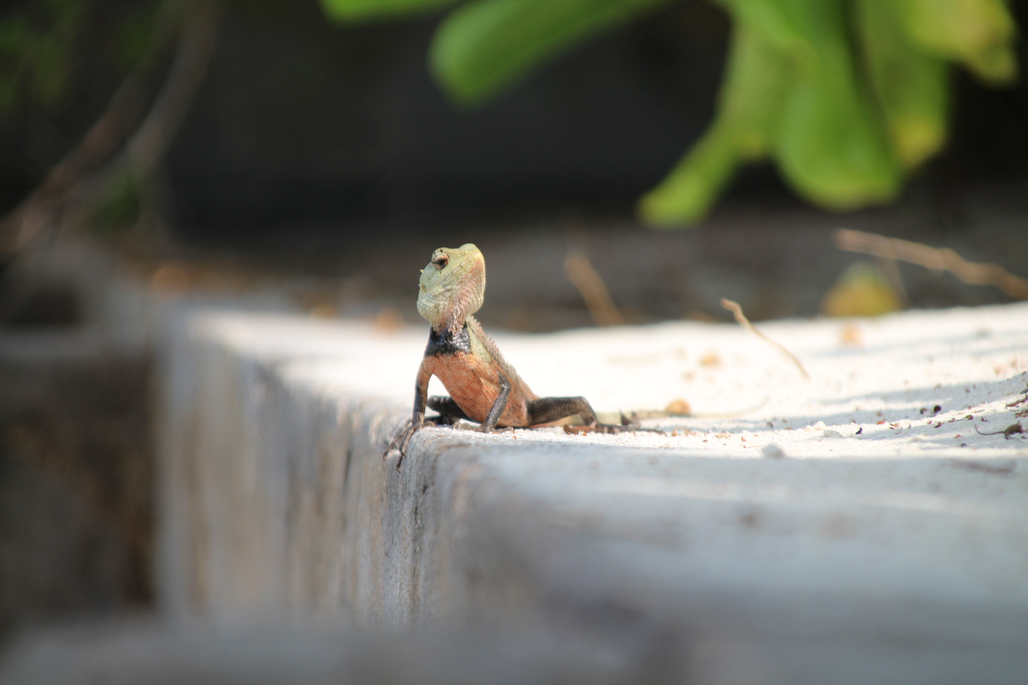 Canon TS-E 90mm F2.8 Tilt-Shift sample photo