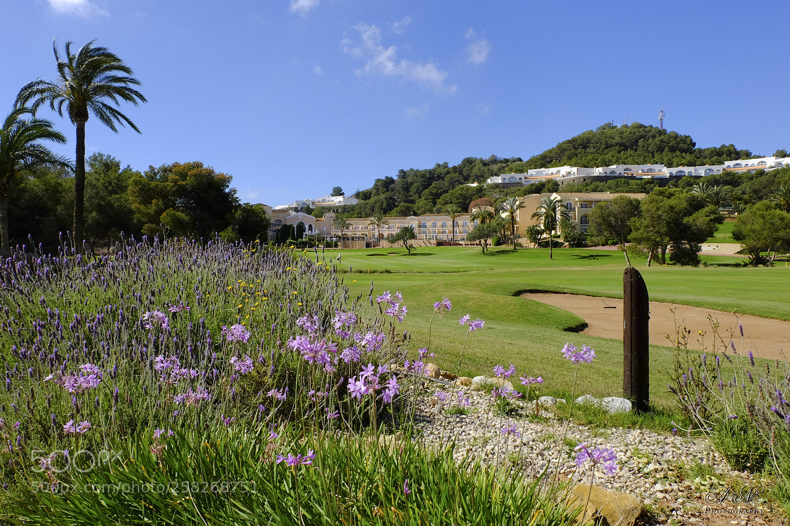 Fujifilm X-T10 sample photo. La manga club campo photography