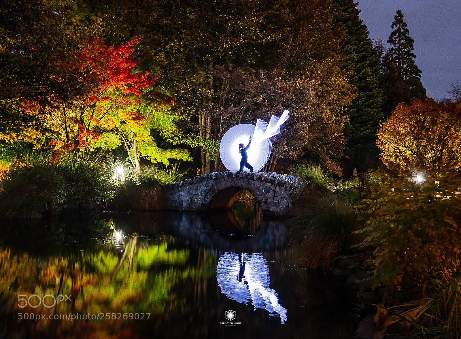 Nikon D610 sample photo. Autumn light painting photography