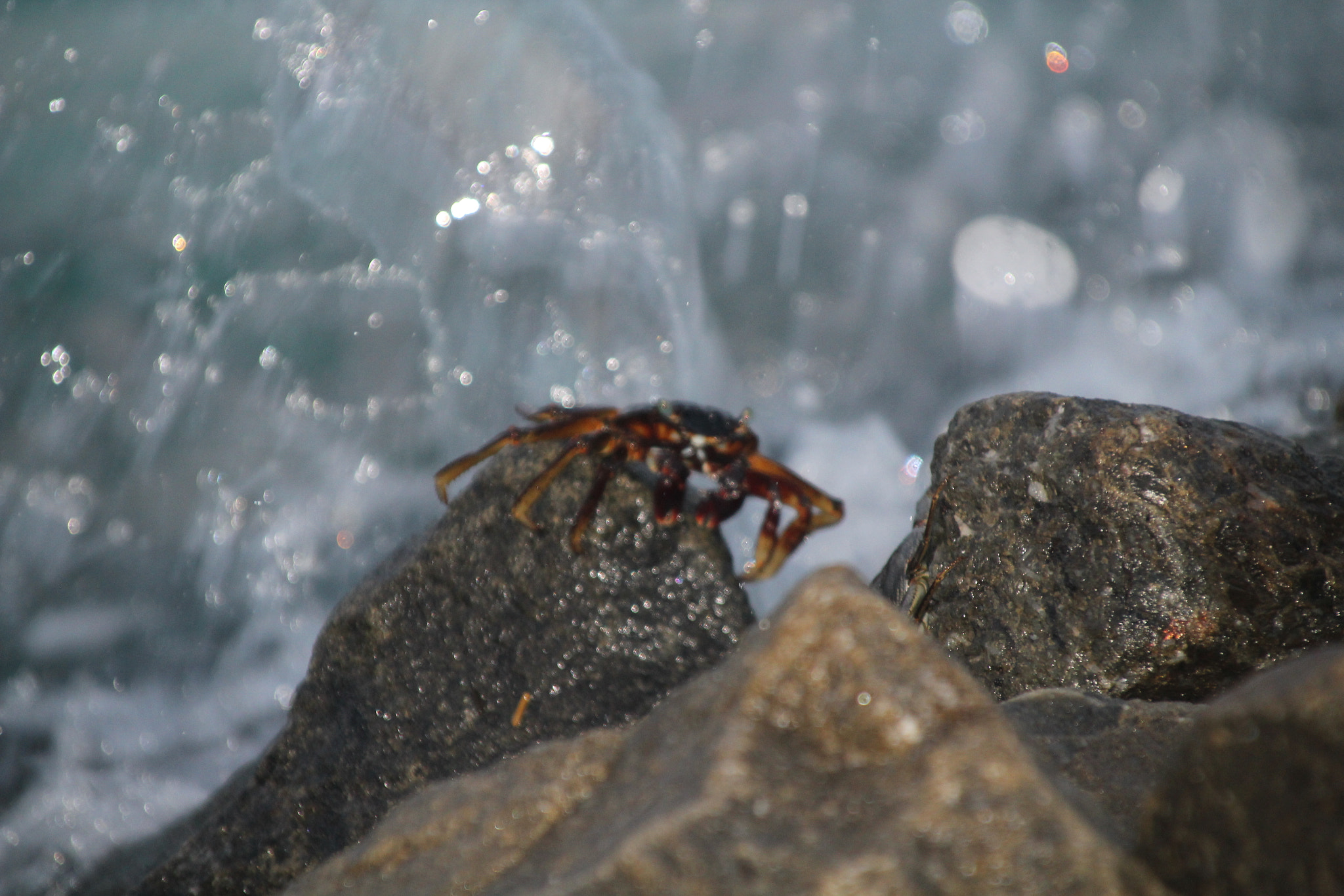 Canon TS-E 90mm F2.8 Tilt-Shift sample photo