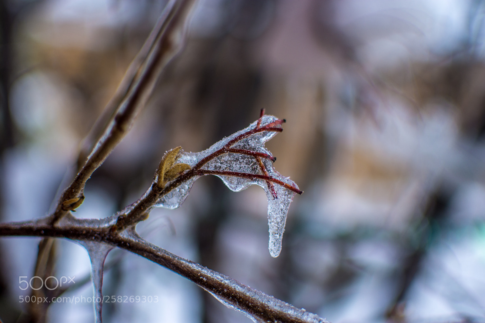 Nikon D7200 sample photo. Hard life photography