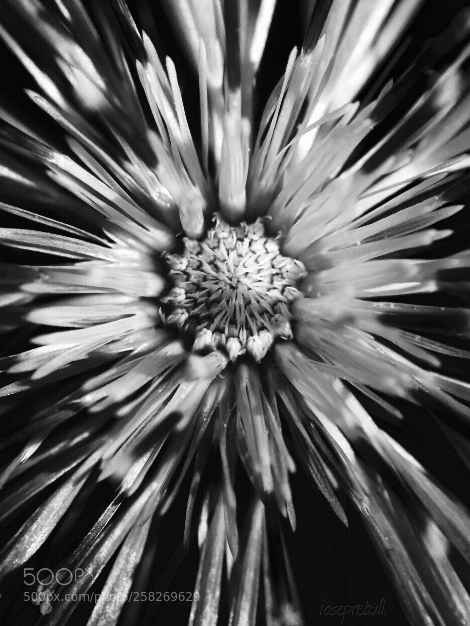 Apple iPhone 6 sample photo. Big bang photography