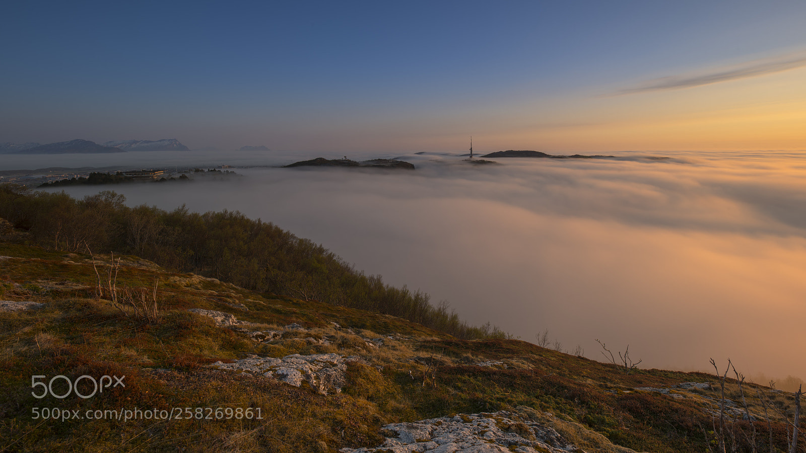 Nikon D850 sample photo. Tåke i bodø photography