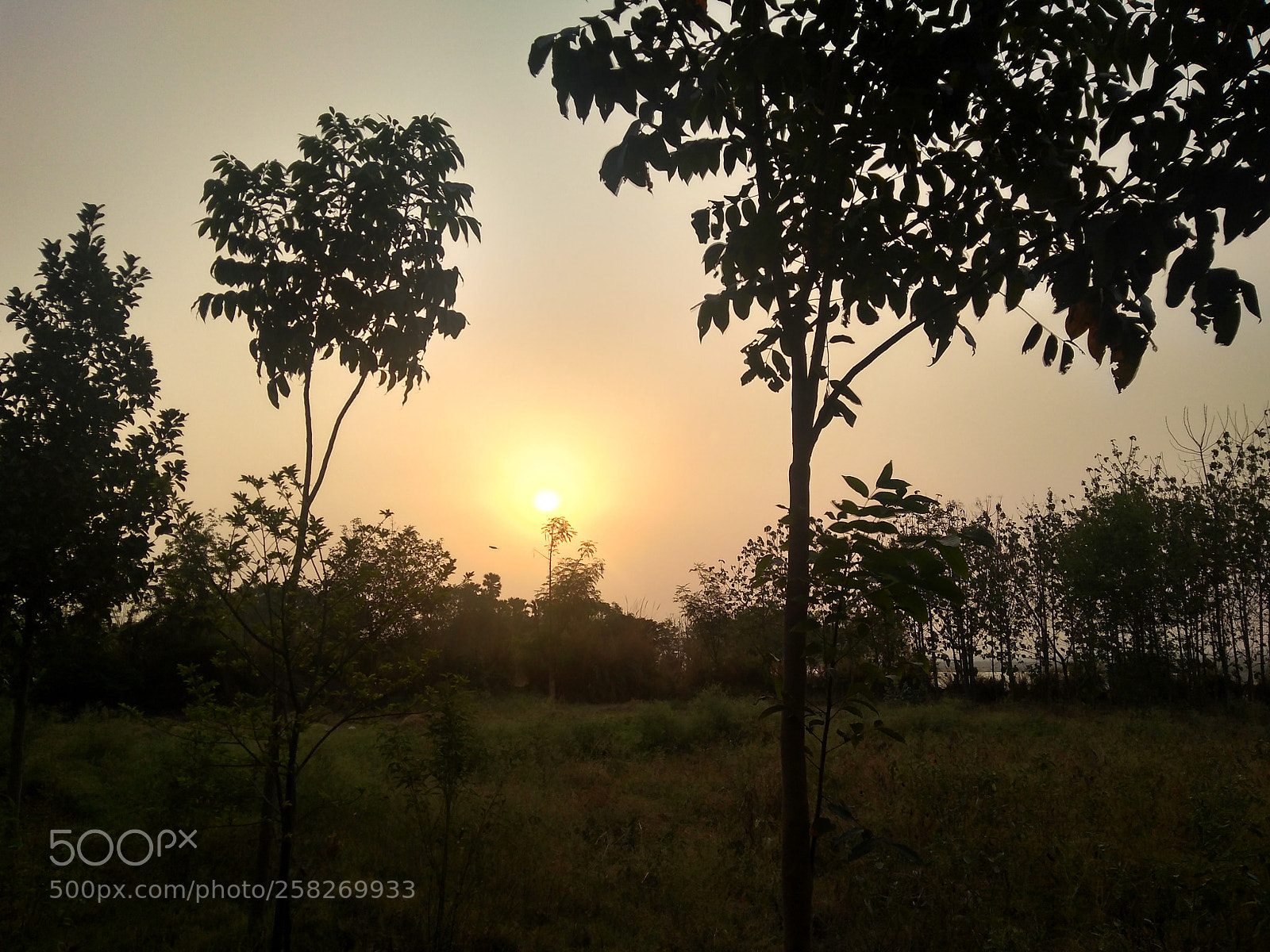 Motorola Moto G (5S) Plus sample photo. Untitled photography