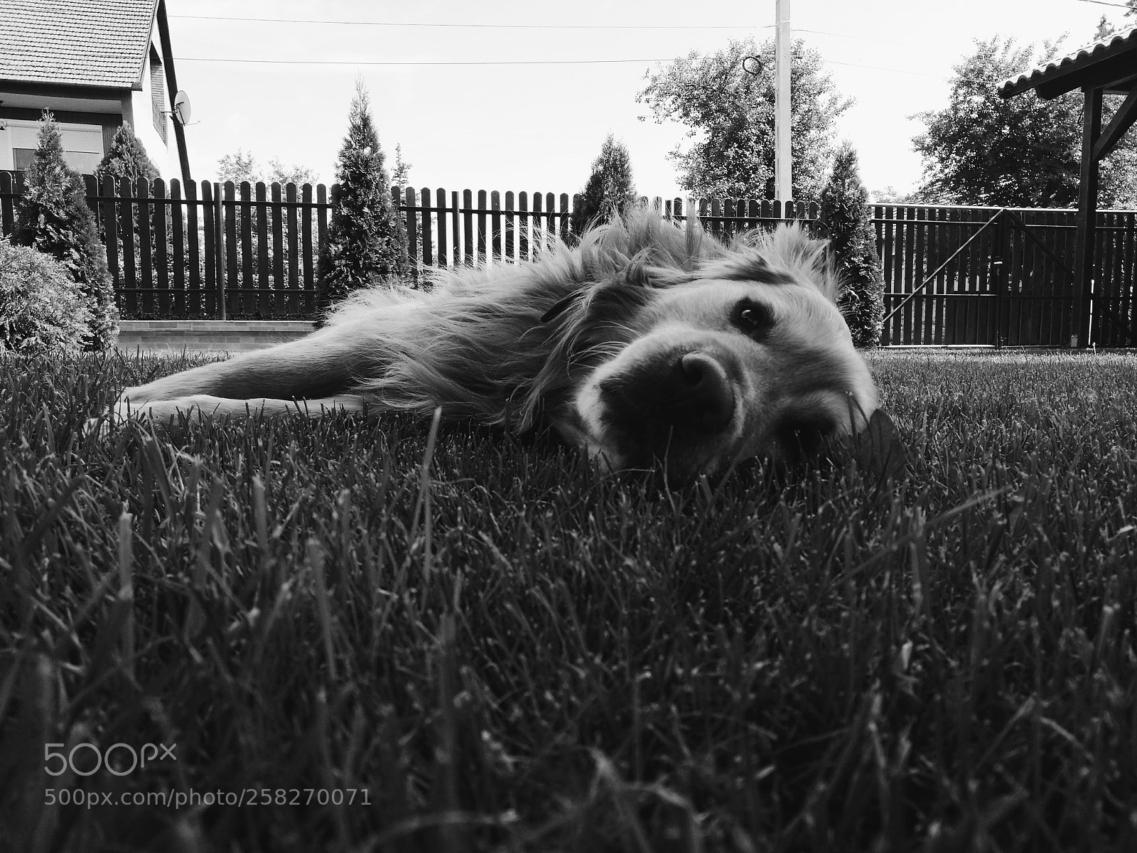 HUAWEI P9 sample photo. Untitled photography