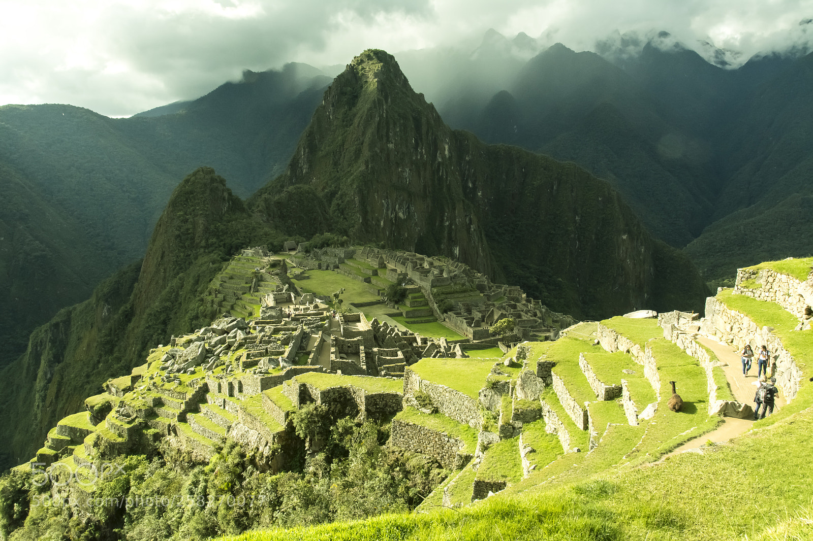 Nikon D5200 sample photo. Machu picchou photography