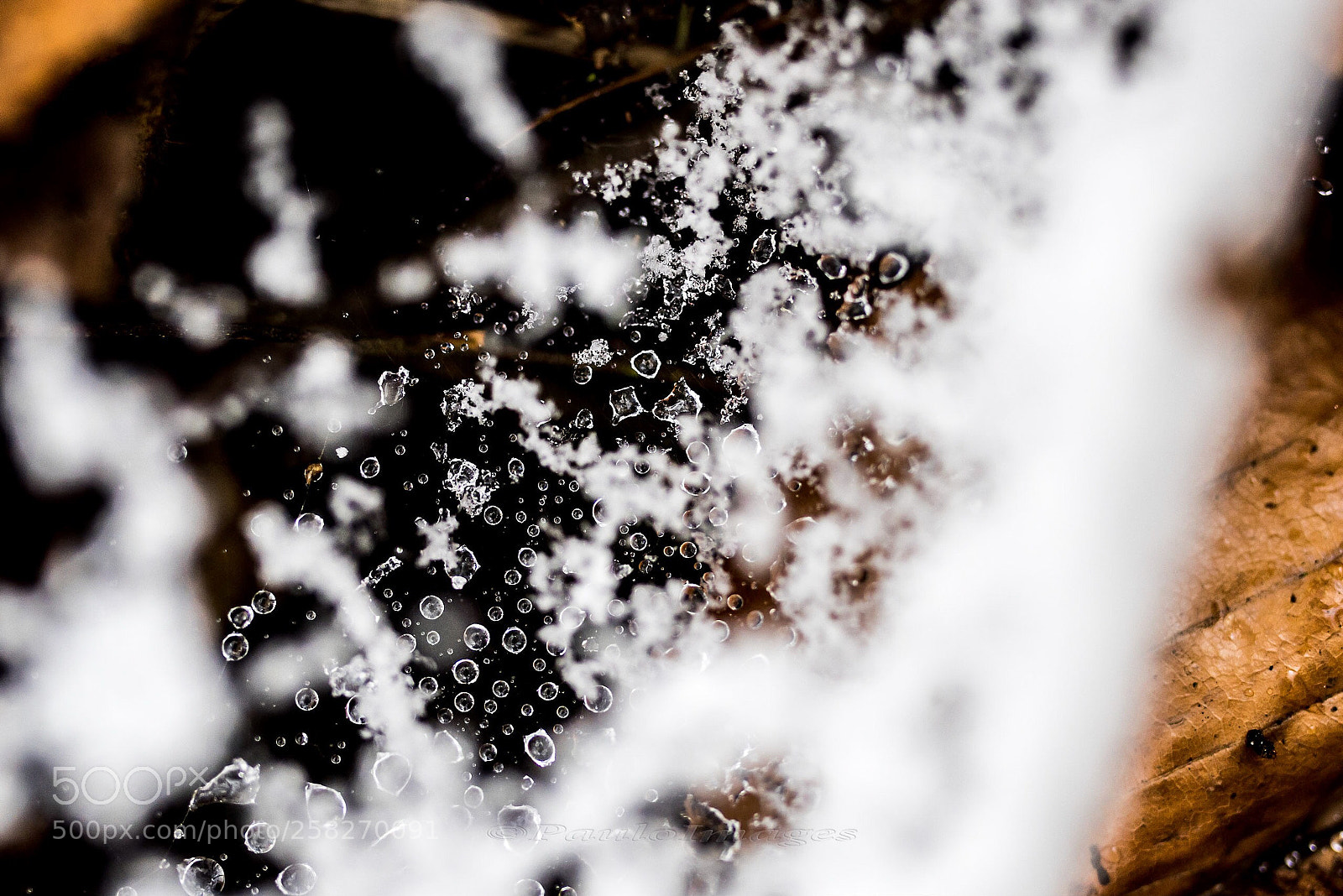 Nikon D810 sample photo. Time to cool off! photography