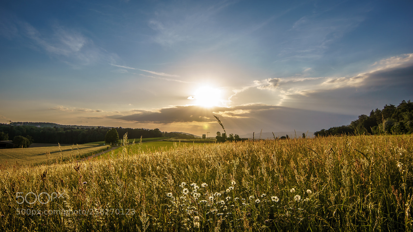 Sony ILCA-77M2 sample photo. Spring evening photography