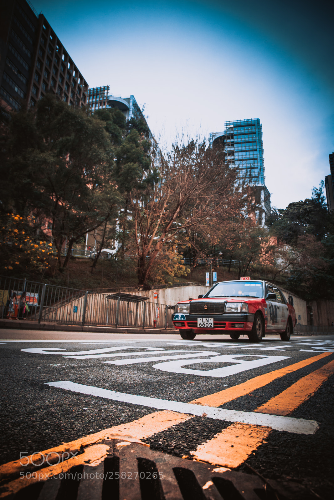 Canon EOS 6D sample photo. Near the road photography