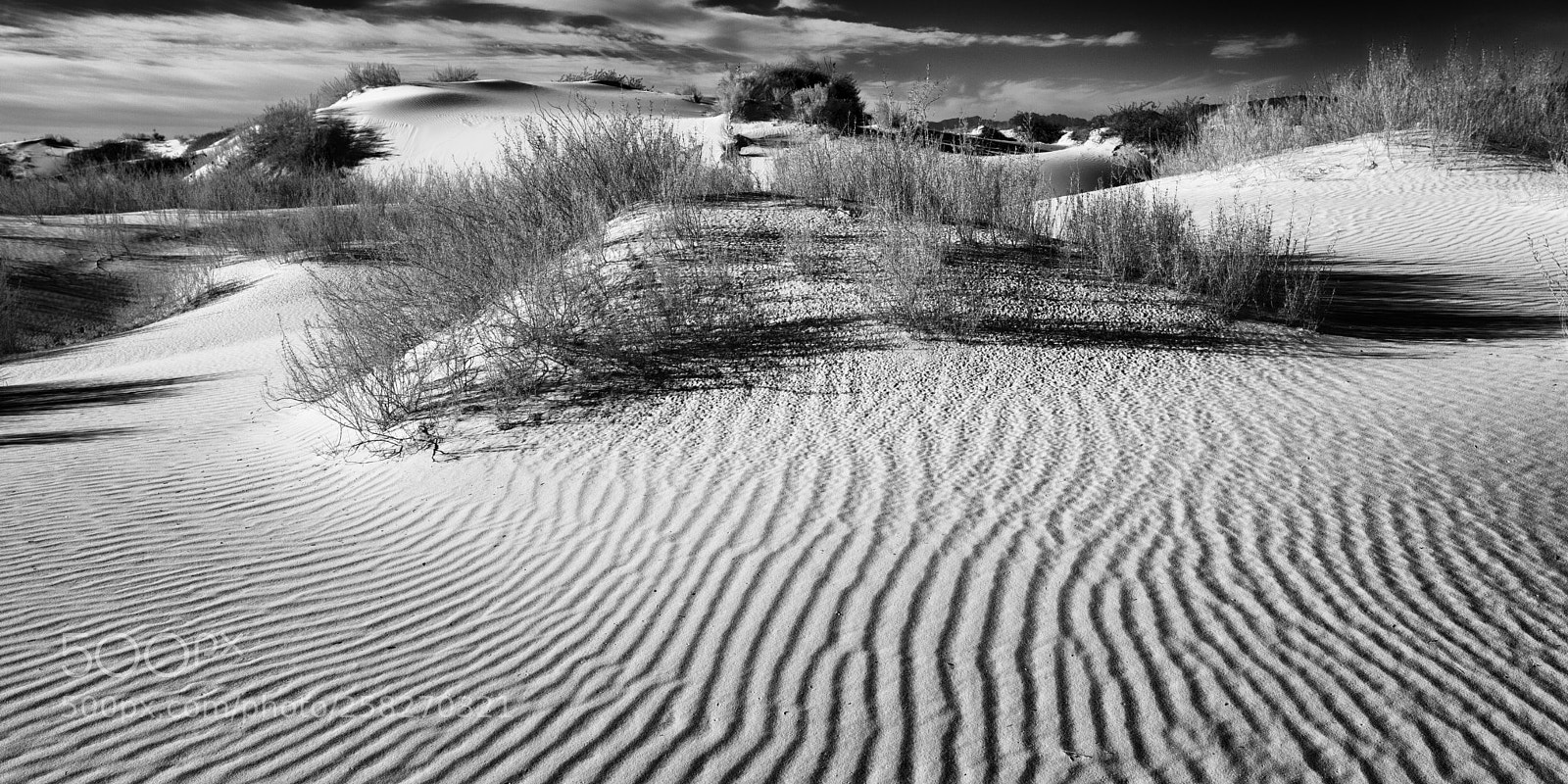 Canon EOS 5D Mark II sample photo. Morning dunes photography