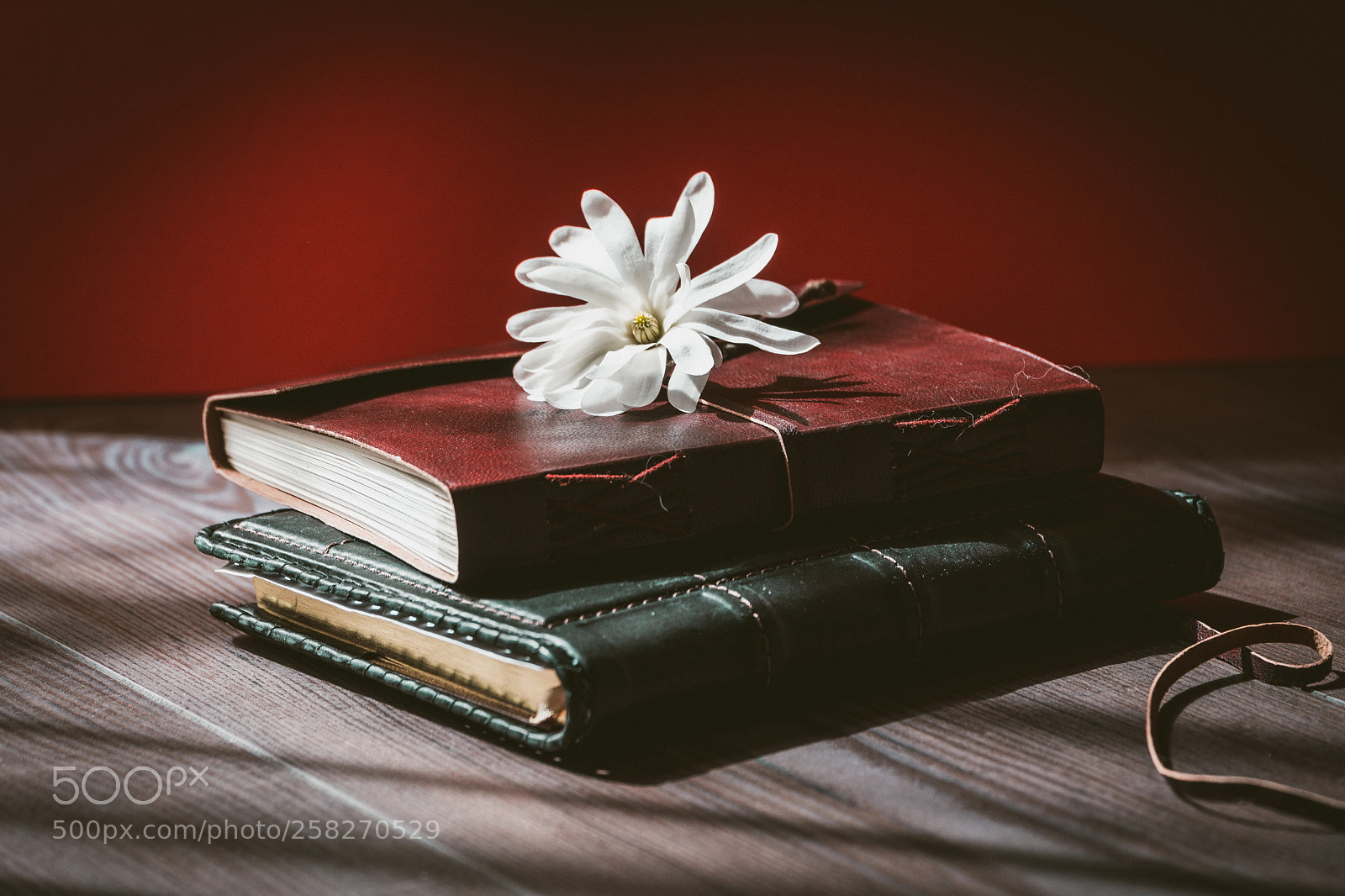 Sony a6000 sample photo. Flower on books photography