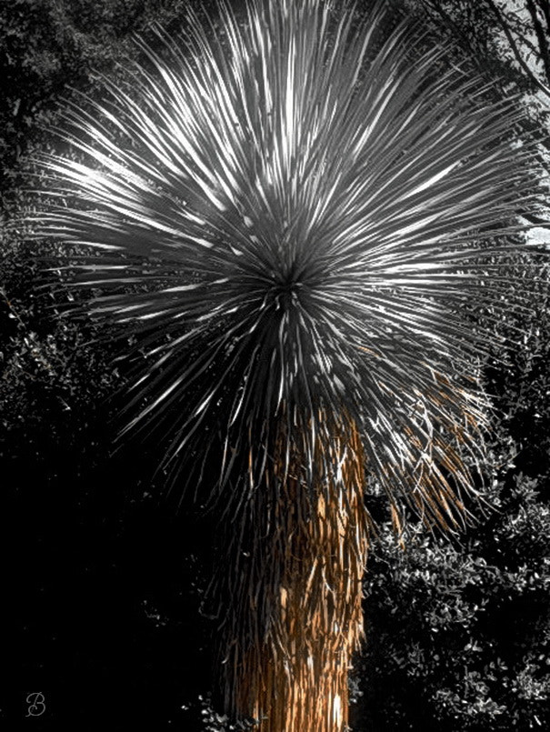 Sony Cyber-shot DSC-H20 sample photo. Silver flare photography