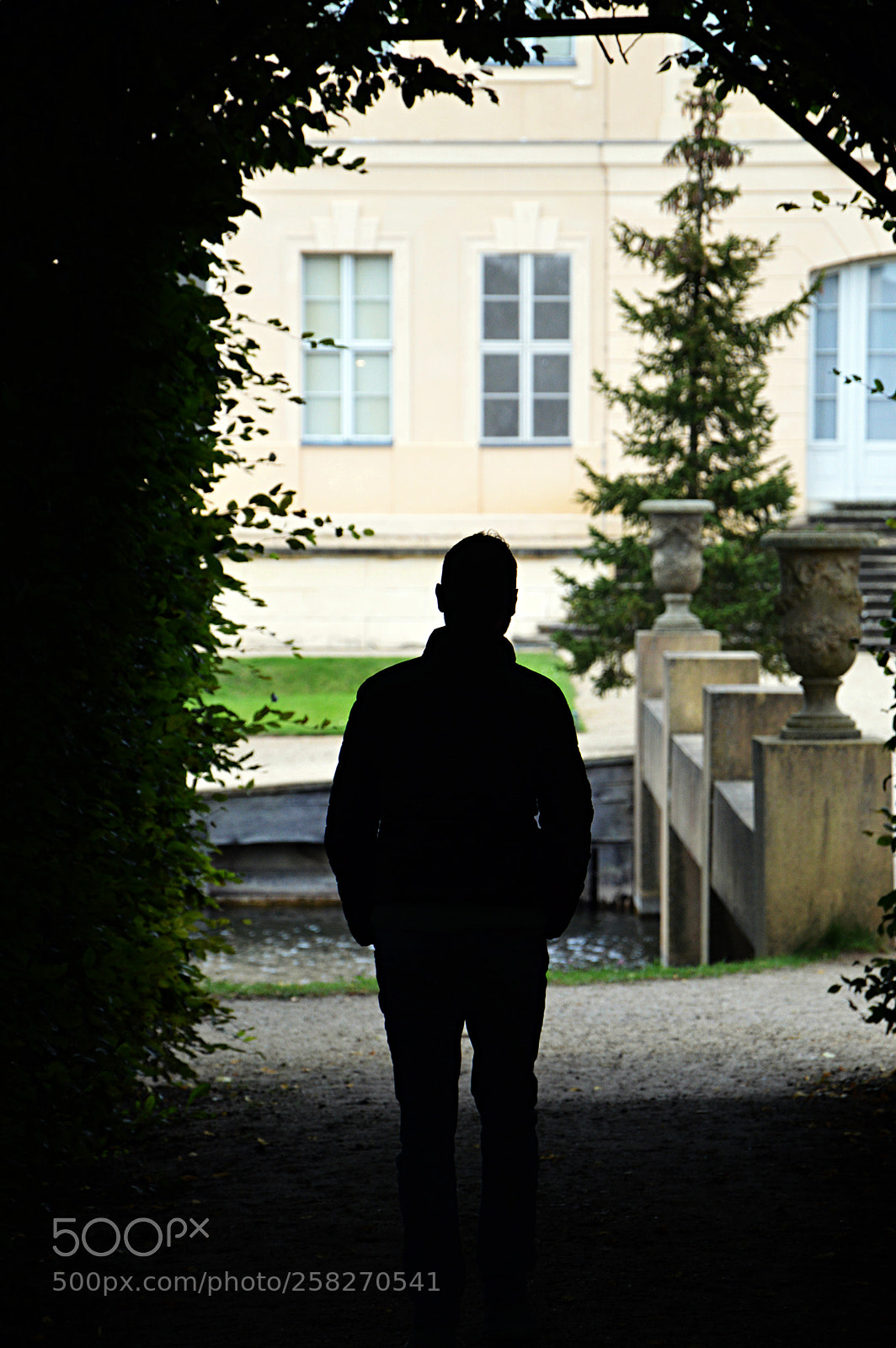 Nikon D3200 sample photo. Walking through photography