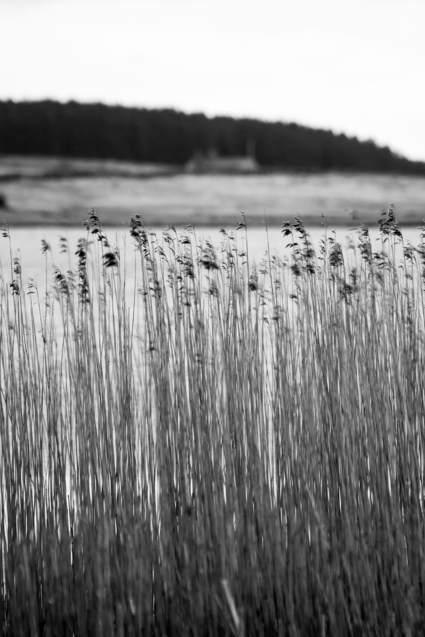 Canon EOS 600D (Rebel EOS T3i / EOS Kiss X5) sample photo. Silent waters, tindale tarn, cumbria photography